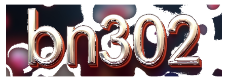 bn302 logo